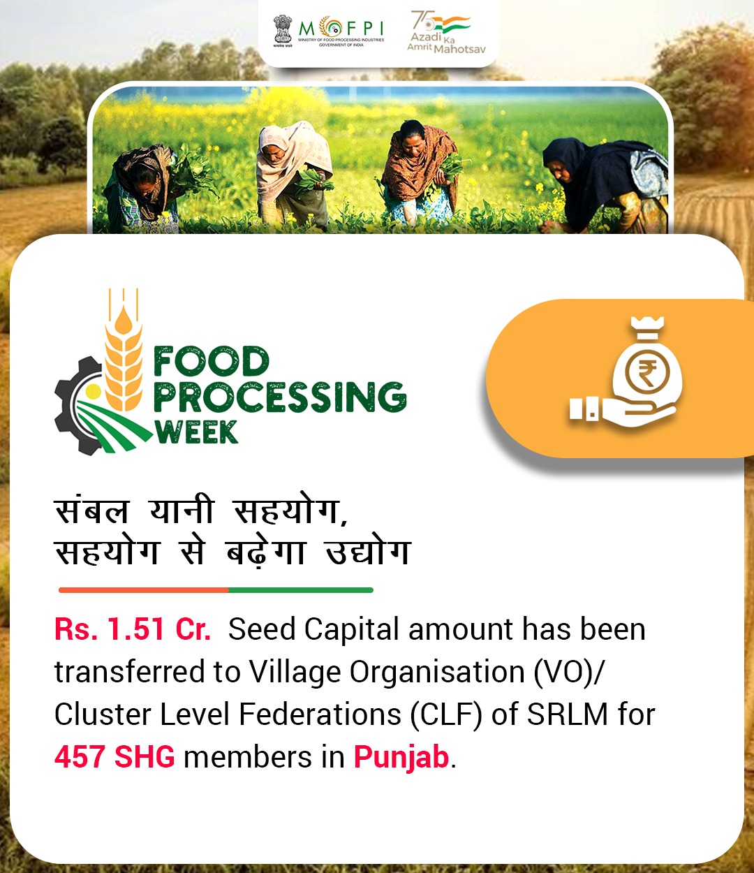 Seed Capital - Punjab